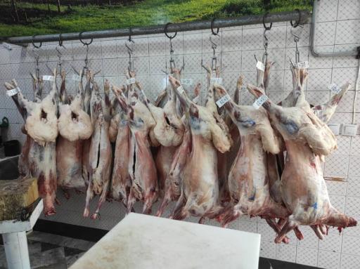 عکس سوپر گوشت افشین