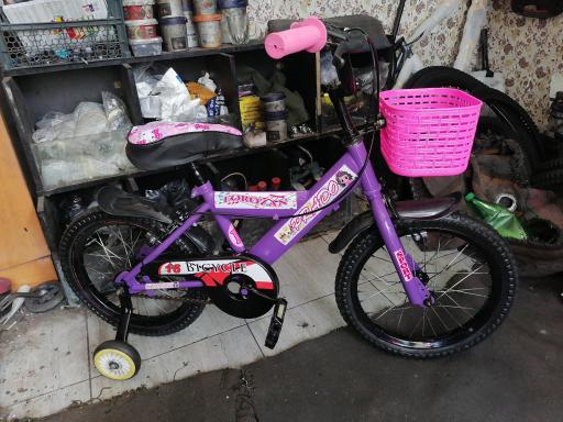 عکس دوچرخه سازی امیر