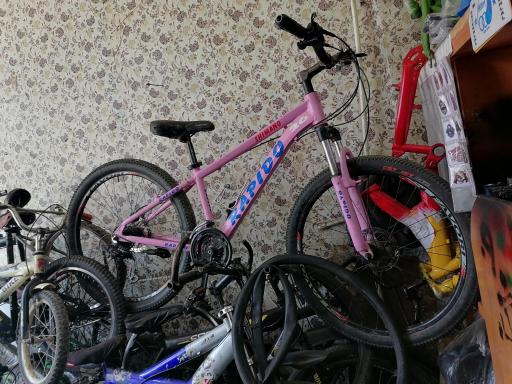 عکس دوچرخه سازی امیر