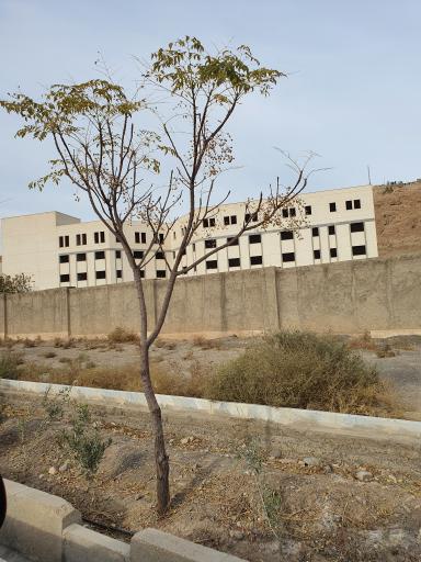 عکس مسجد (در حال احداث)