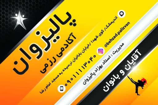 باشگاه هنرهای رزمی پالیزوان 