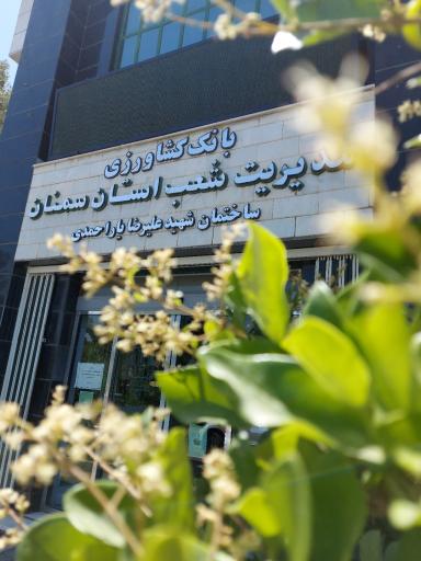 عکس مدیریت شعب بانک کشاورزی استان سمنان