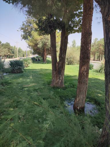 عکس پارک کوهستان