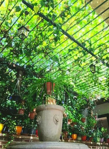 عکس کافه نقش وصال