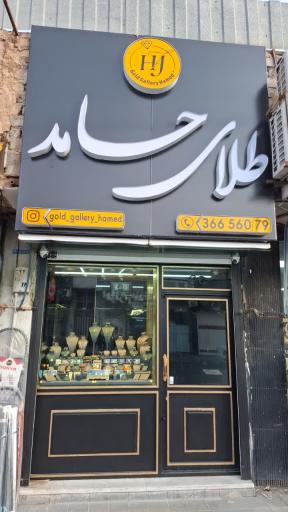 عکس طلای حامد