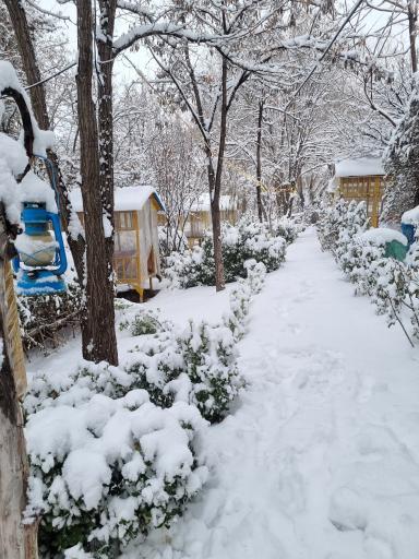 عکس کافه باغ سردیس