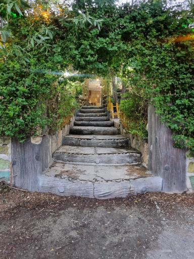 عکس کافه باغ سردیس