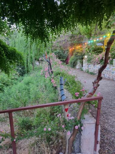 عکس کافه باغ سردیس