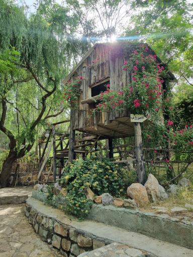 عکس کافه باغ سردیس