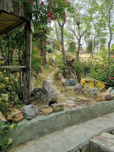 عکس کافه باغ سردیس