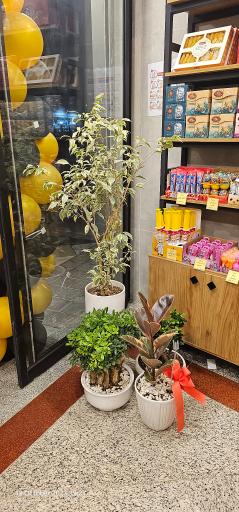 عکس عطاری قرن نو