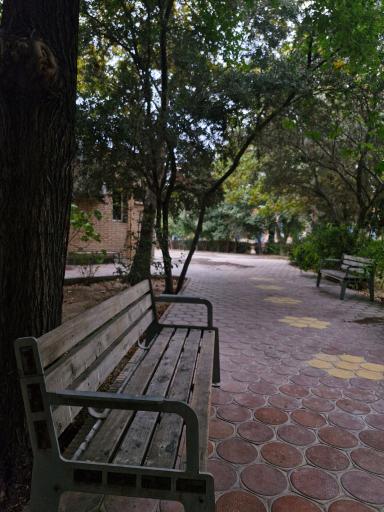 عکس دانشکده فنی دخترانه ولیعصر