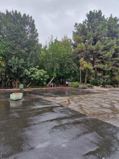 عکس دانشکده فنی دخترانه ولیعصر