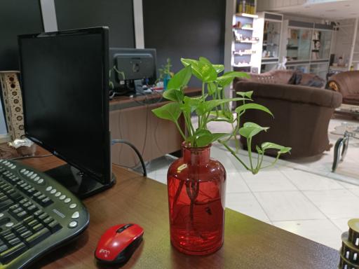 عکس گروه نرم افزاری کیو