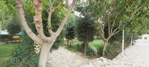 عکس پارک‌ زائر