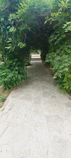 عکس پارک‌ زائر