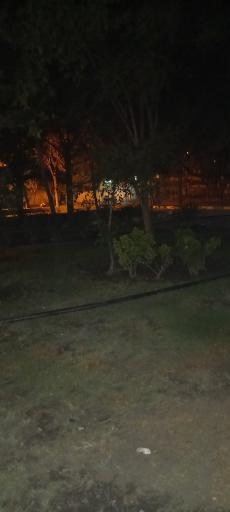 عکس پارک شادگان