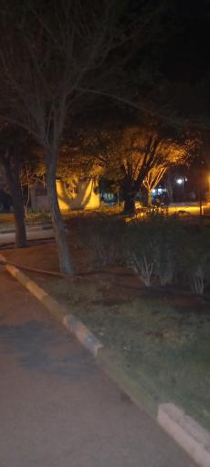 پارک شادگان