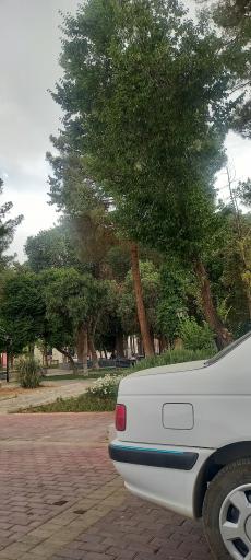 عکس پارک باغ ملی