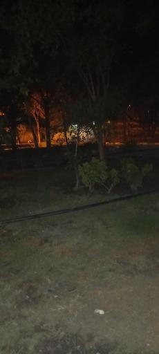 عکس پارک شادگان