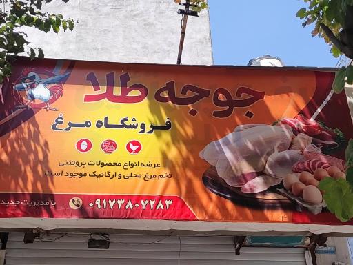 عکس فروشگاه مرغ پر طلایی