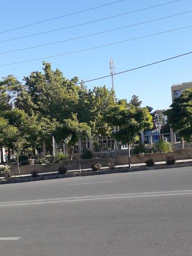 عکس پارک شاهد