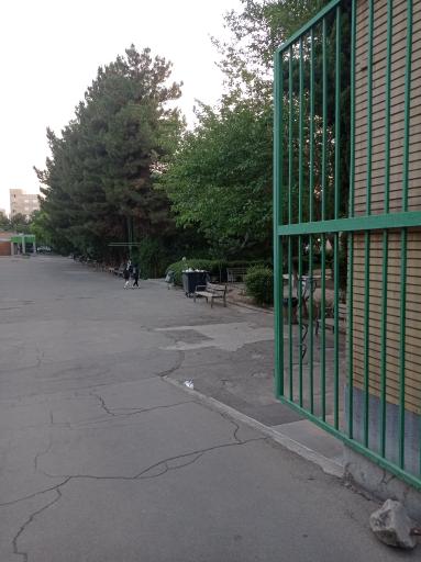 عکس دانشکده فنی دخترانه ولیعصر