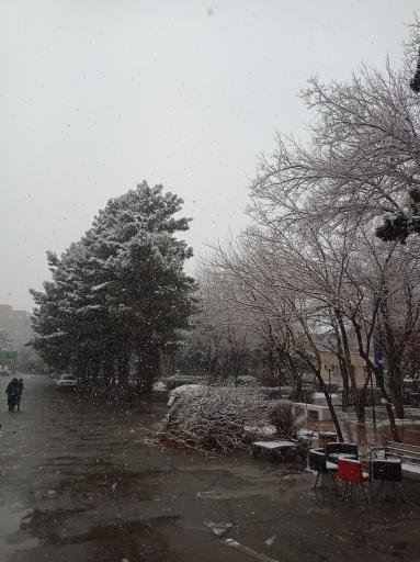 عکس دانشکده فنی دخترانه ولیعصر