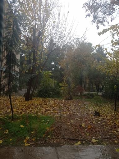 عکس دانشکده فنی دخترانه ولیعصر