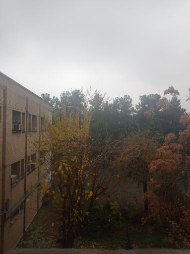 عکس دانشکده فنی دخترانه ولیعصر