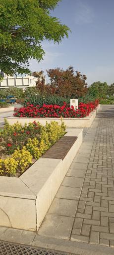 عکس میدان راه آهن قدیم