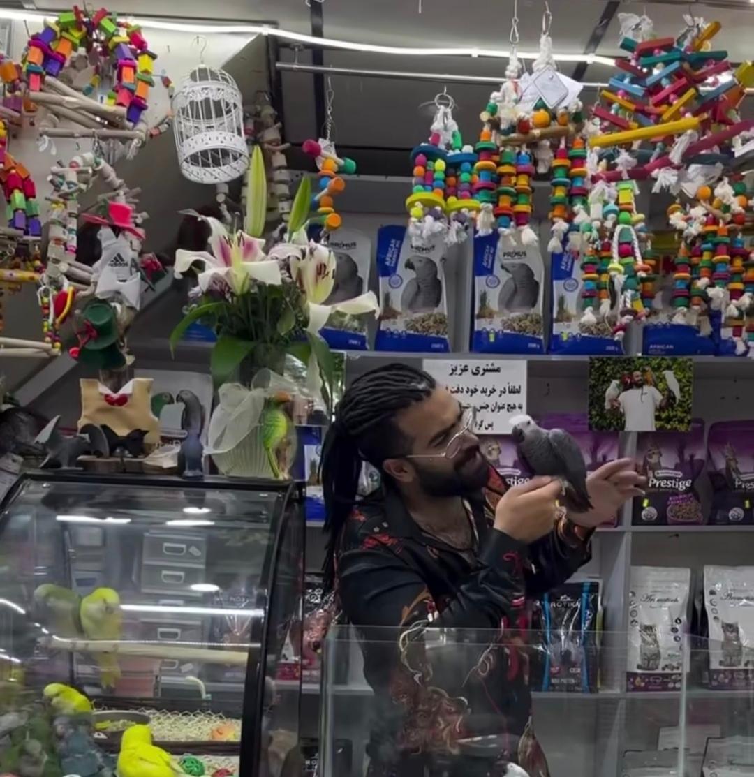 عکس طوطی سانان پرنس (علی نبی)