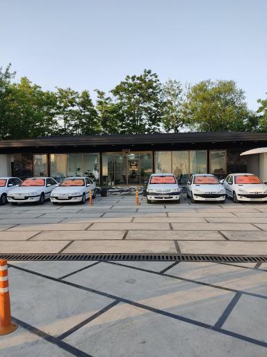 عکس اتومبیل شهر ما