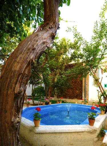 عکس خانه عقد یارا 