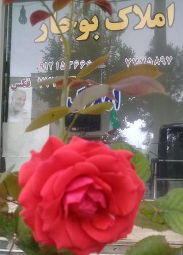 املاک عماریاسر بوجار