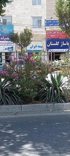 عکس بیمه ایران شعبه کیانمهر