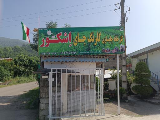 عکس کارخانه چای گلرنگ لاتک