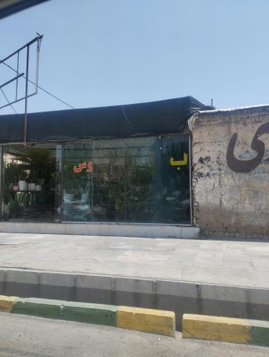 عکس گل و گیاه