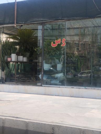 عکس گل و گیاه