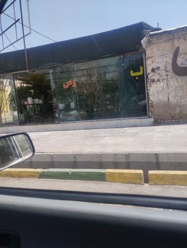 عکس گل و گیاه