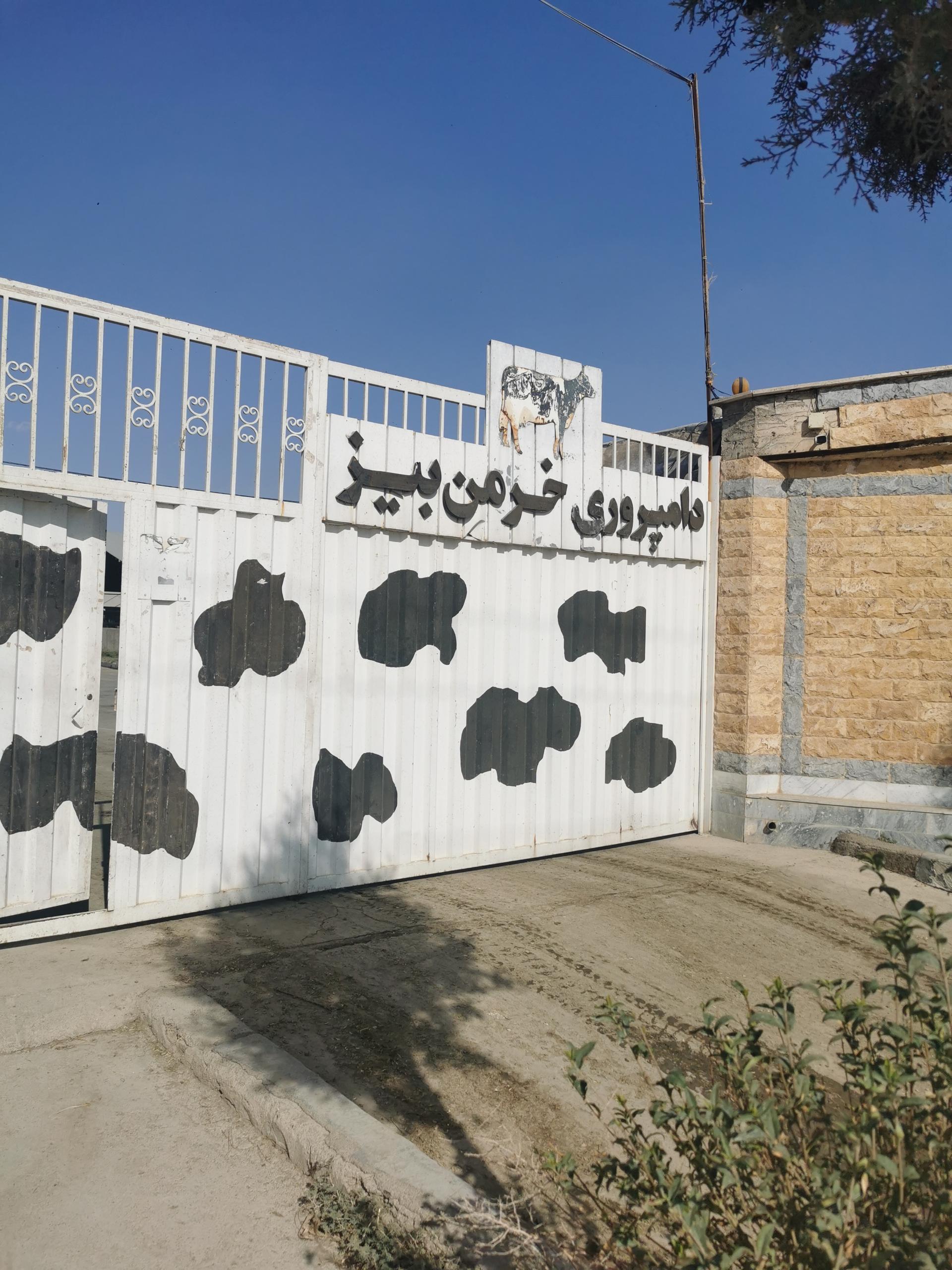 عکس دامپروری خرمن بیز