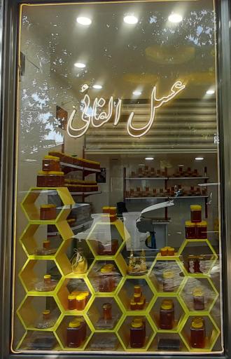 عکس عسل الفائی (شعبه ۲)