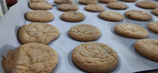 عکس نان فانتزی محمدی