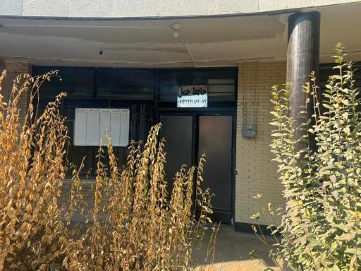 عکس حافظ حمل