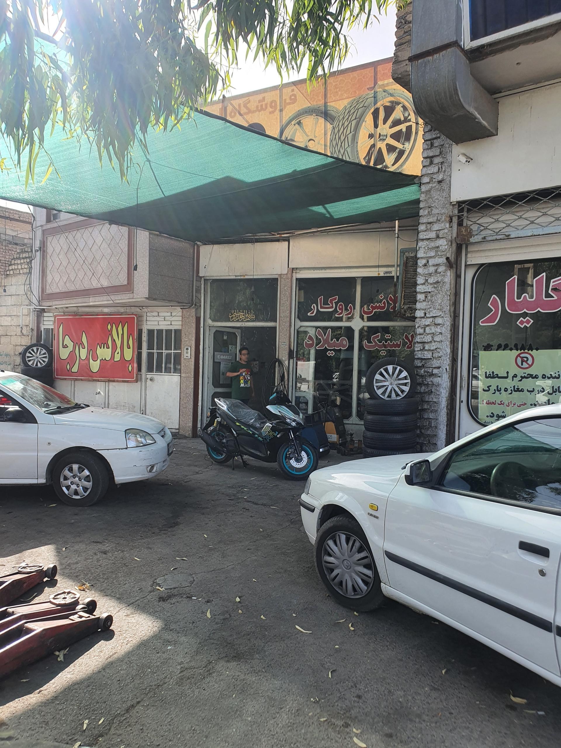 عکس لاستیک میلاد