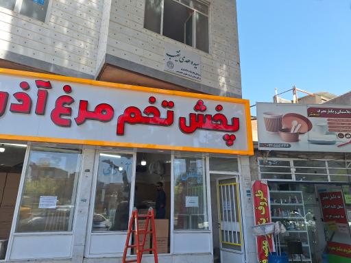 عکس پخش تخم مرغ آذری