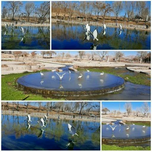 عکس پارک انقلاب (چشمه چقور سیاه)