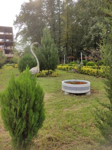 عکس مجتمع رستورانی یاس