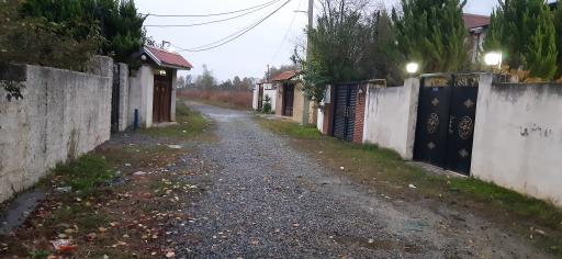 عکس سلیاکتی