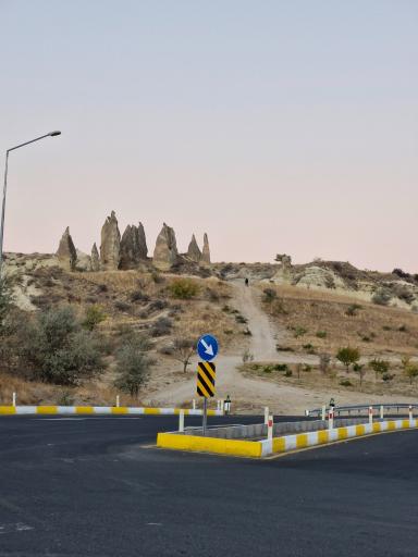 عکس سلیاکتی